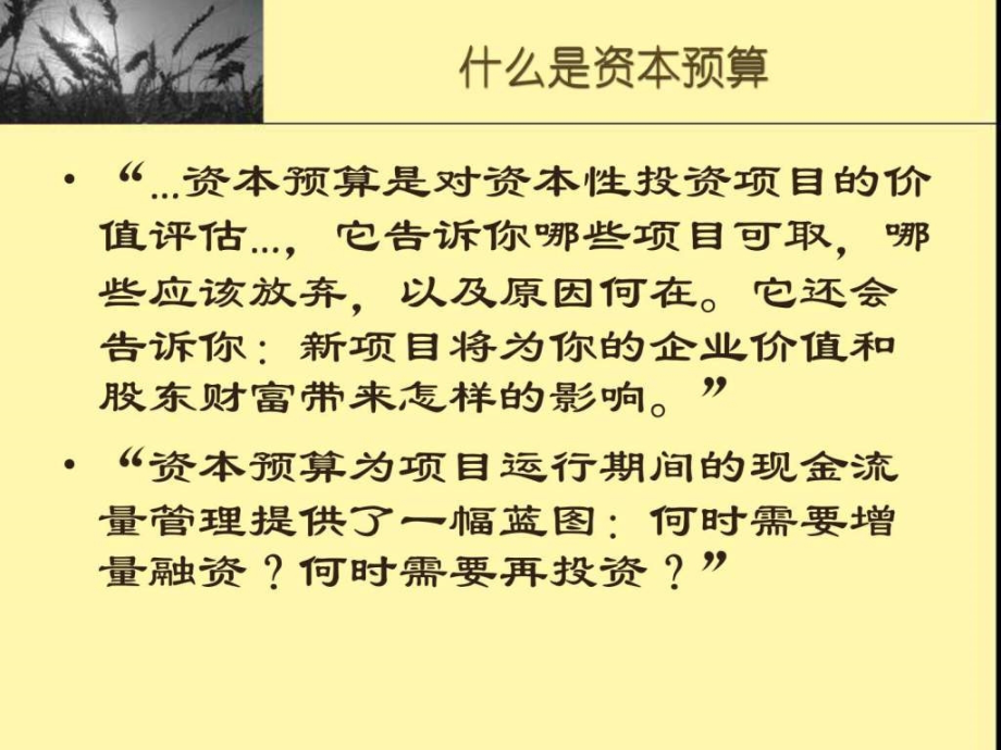 公司理财资本预算方法图文.pptx_第2页