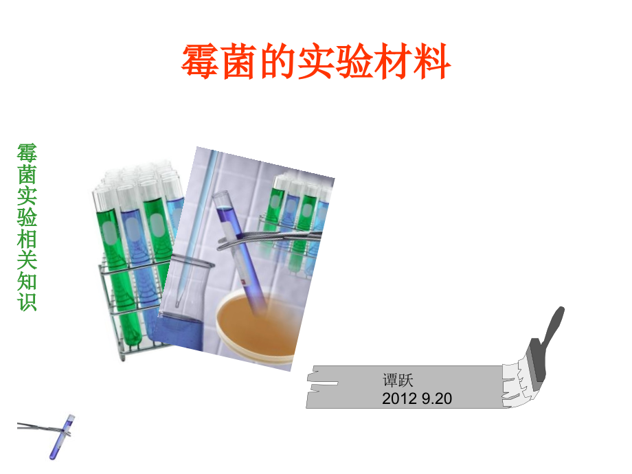 微生物实验培养检测保存.pptx_第1页
