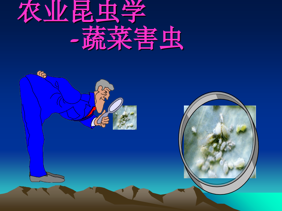 害虫防治原理和方法文档.pptx_第1页
