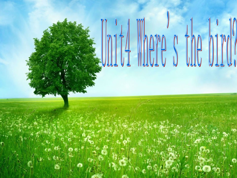 三年级下册Unit4whereisthebird.pptx_第1页