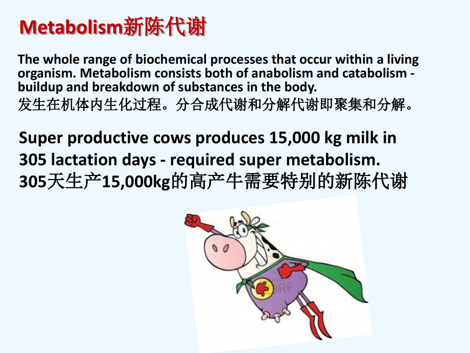 奶牛酮病和真胃变位.pptx_第1页
