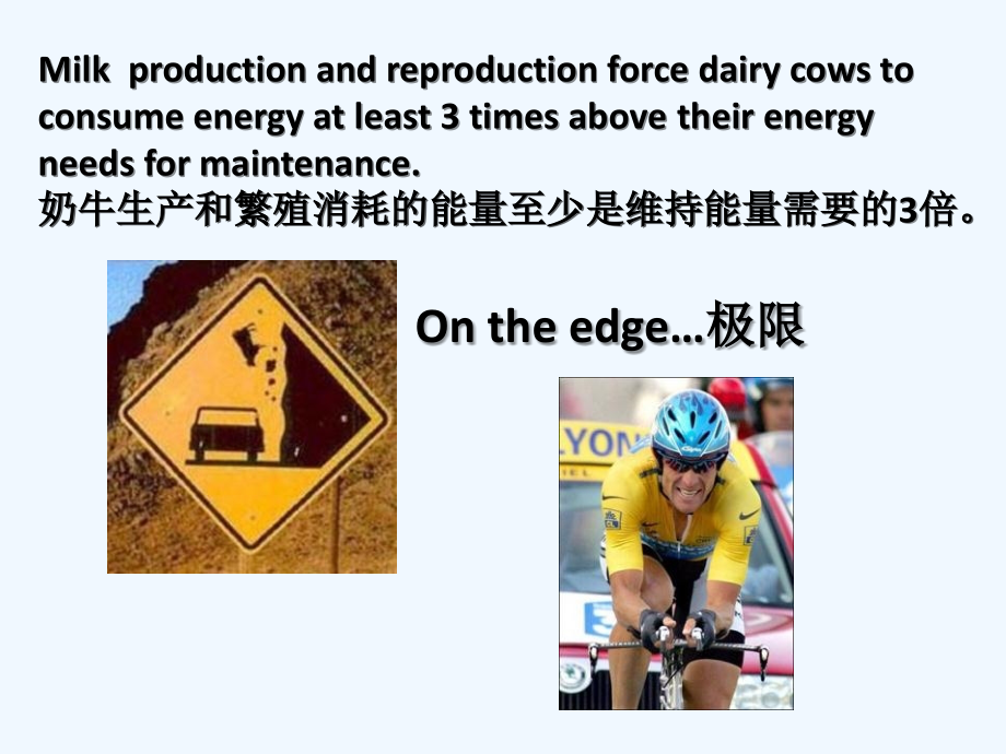 奶牛酮病和真胃变位.pptx_第2页