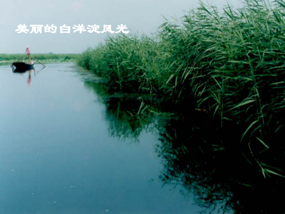 八级语文上册2芦花荡3新版新人教版.pptx_第2页