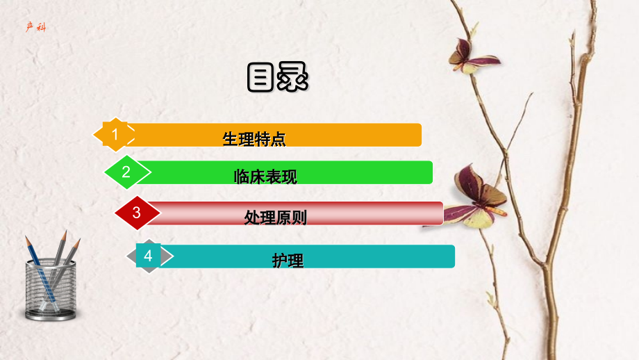 产科正常新生儿护理秦春霞.pptx_第2页