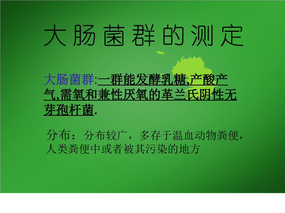 大肠杆菌测定.pptx_第1页