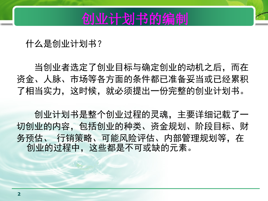 3大学生创业策划书.pptx_第2页