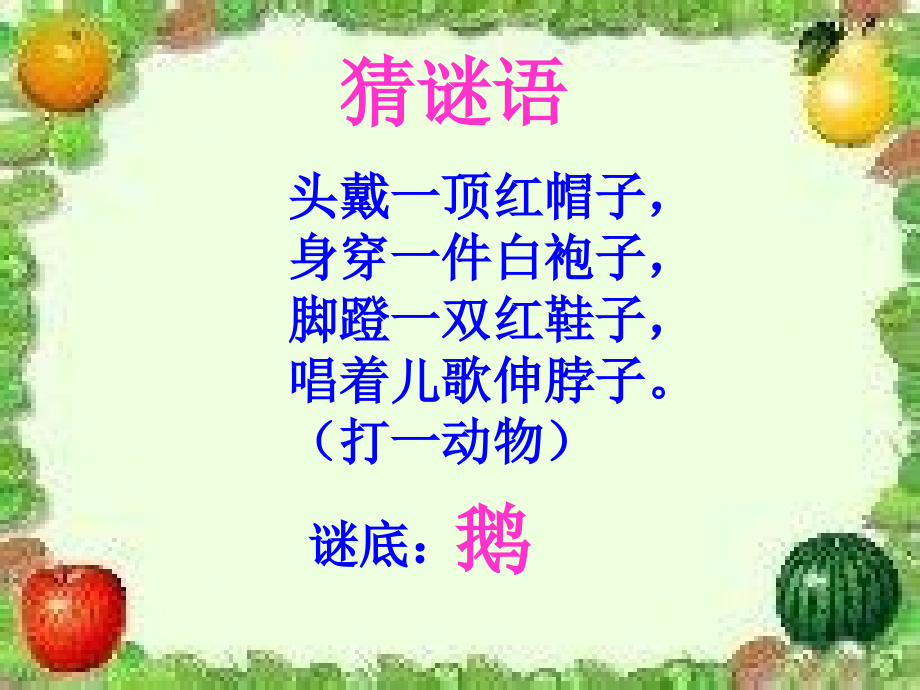 小学语文四年级上册白鹅2.pptx_第2页