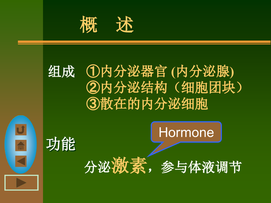 七年内分泌系统.pptx_第2页