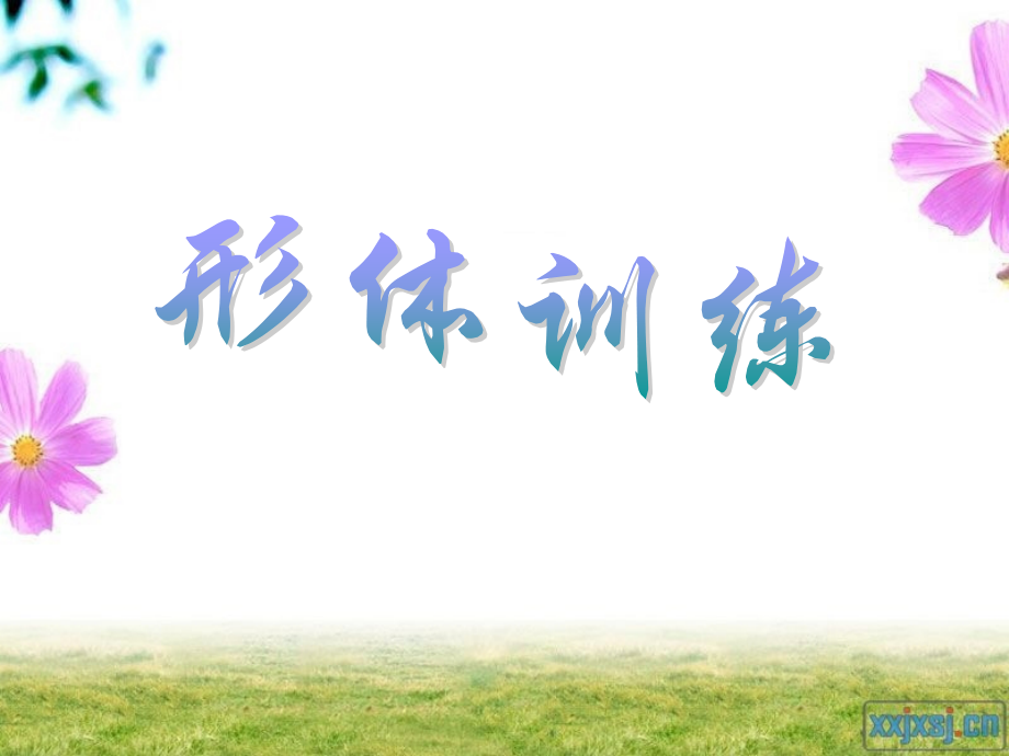 形体训练.pptx_第1页