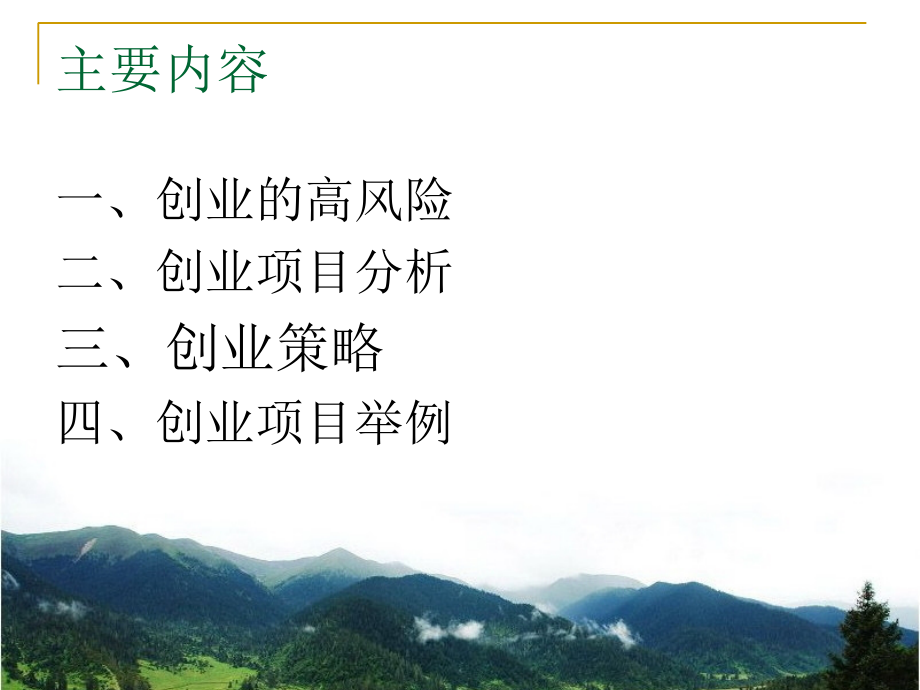 创业项目分析.pptx_第2页