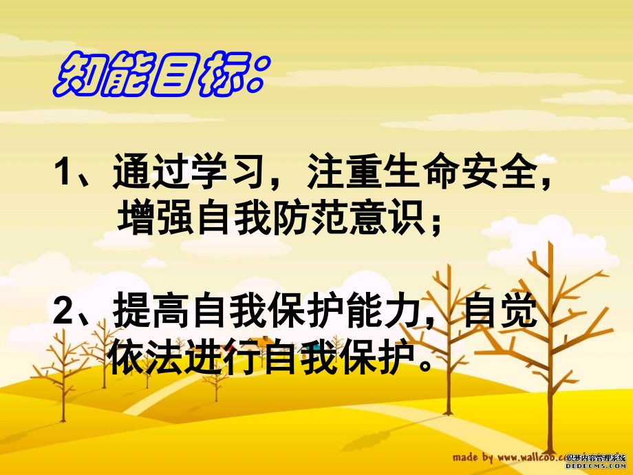 为生命撑起一把保护伞.pptx_第2页