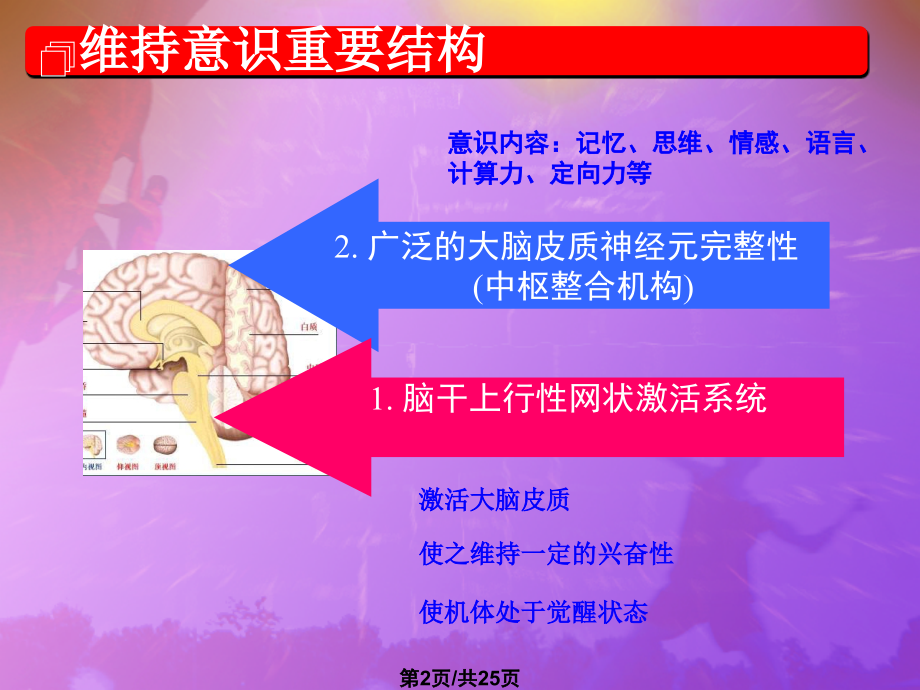 意识障碍黄旭明.pptx_第2页