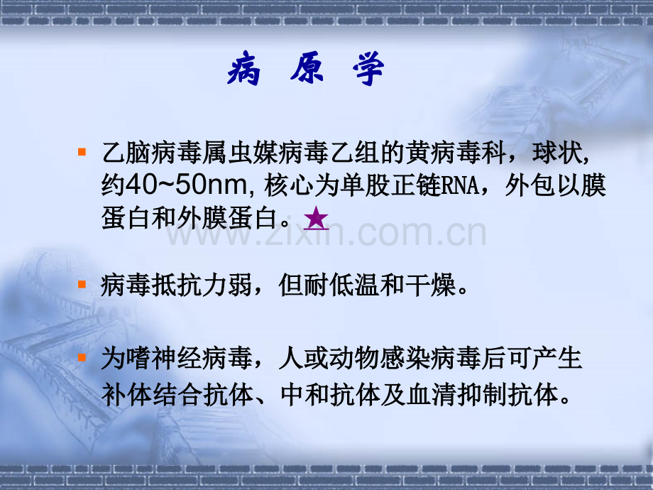 传染病学流行性乙型脑炎及病毒性肝炎.pptx_第2页