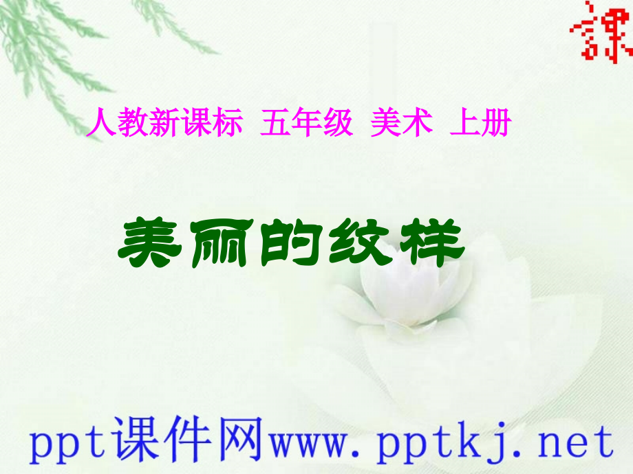 人教新课标美丽的纹样.pptx_第1页