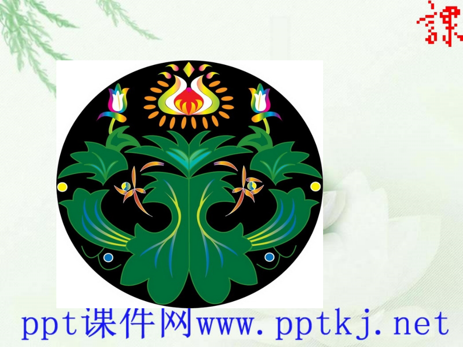人教新课标美丽的纹样.pptx_第2页