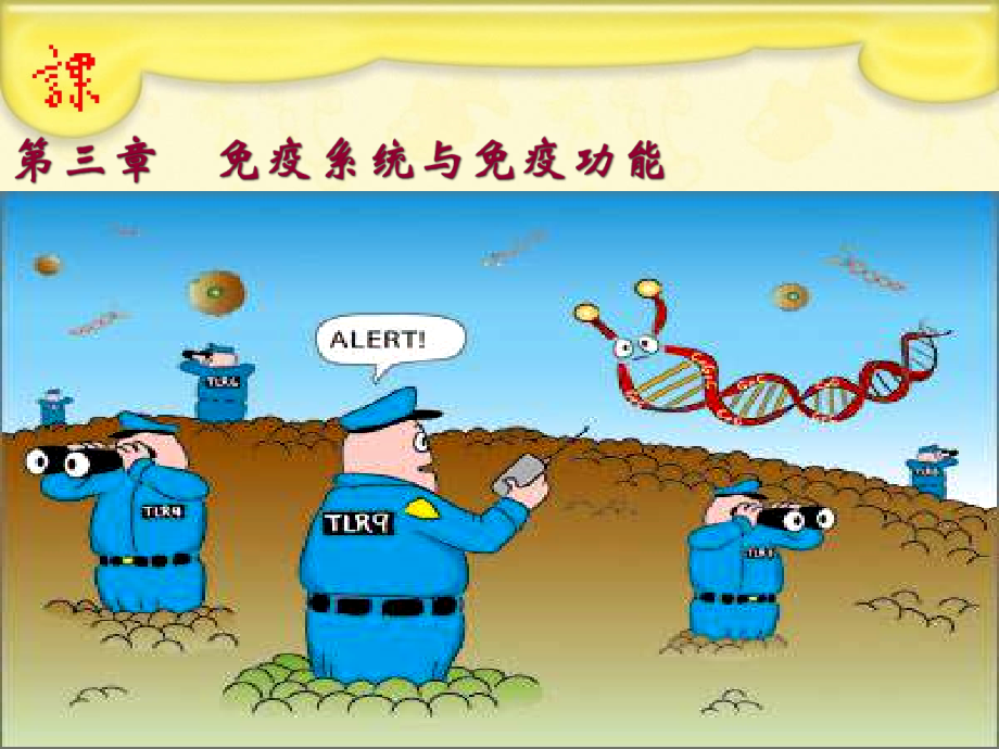 人体对抗病原体感染的非特异性防卫.pptx_第2页