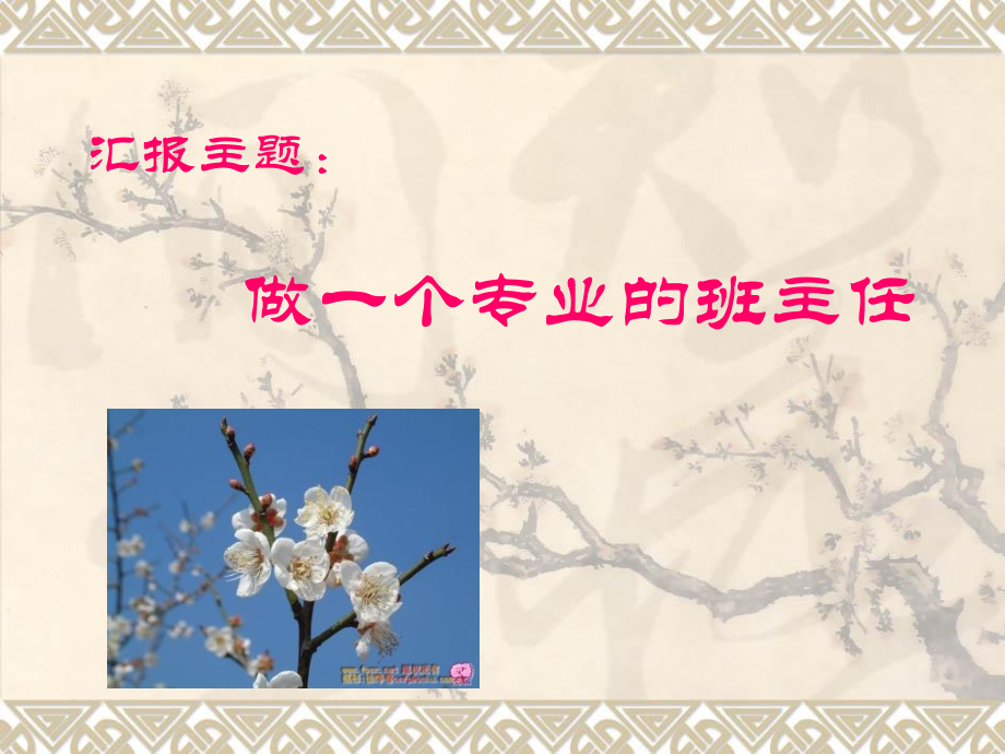 做一个专业的班主任.pptx_第1页