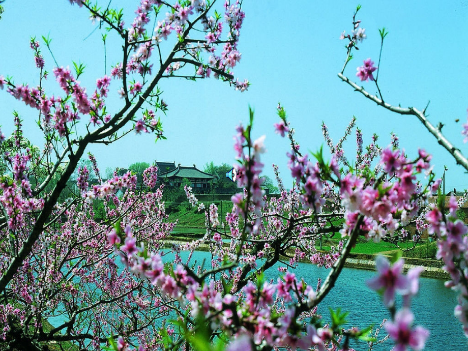 人教版三年级语文上册美丽的小兴安岭.pptx_第2页