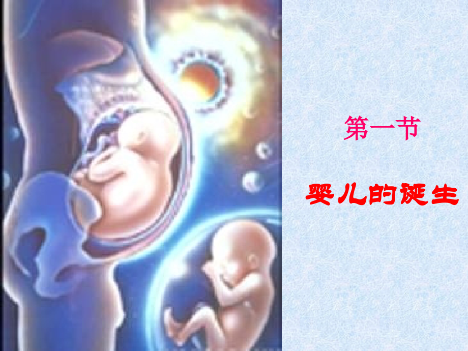 31婴儿的诞生.pptx_第1页