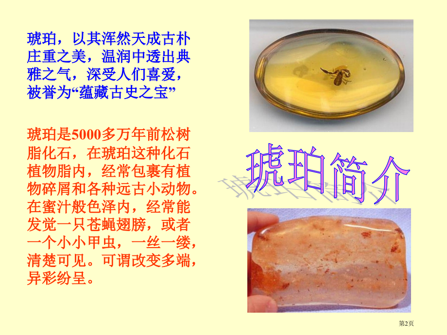 -琥珀市公开课金奖市赛课一等奖课件.pptx_第2页