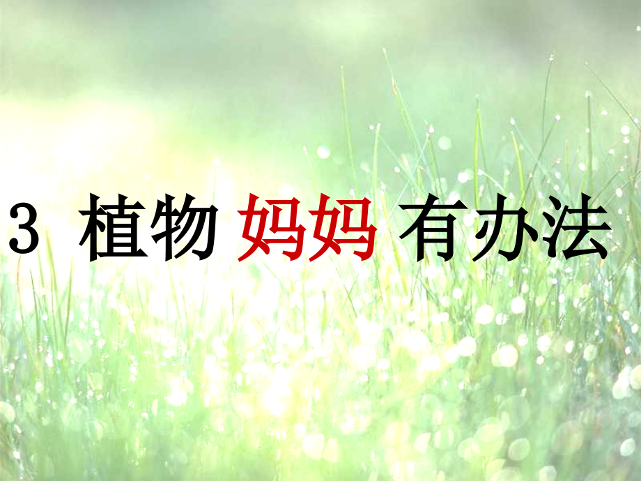 3植物妈妈有办法汇编.pptx_第1页