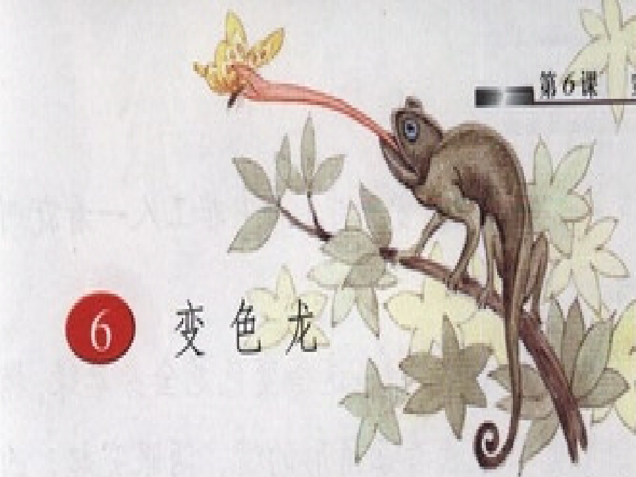 6苏教版五年级上册变色龙修改.pptx_第1页