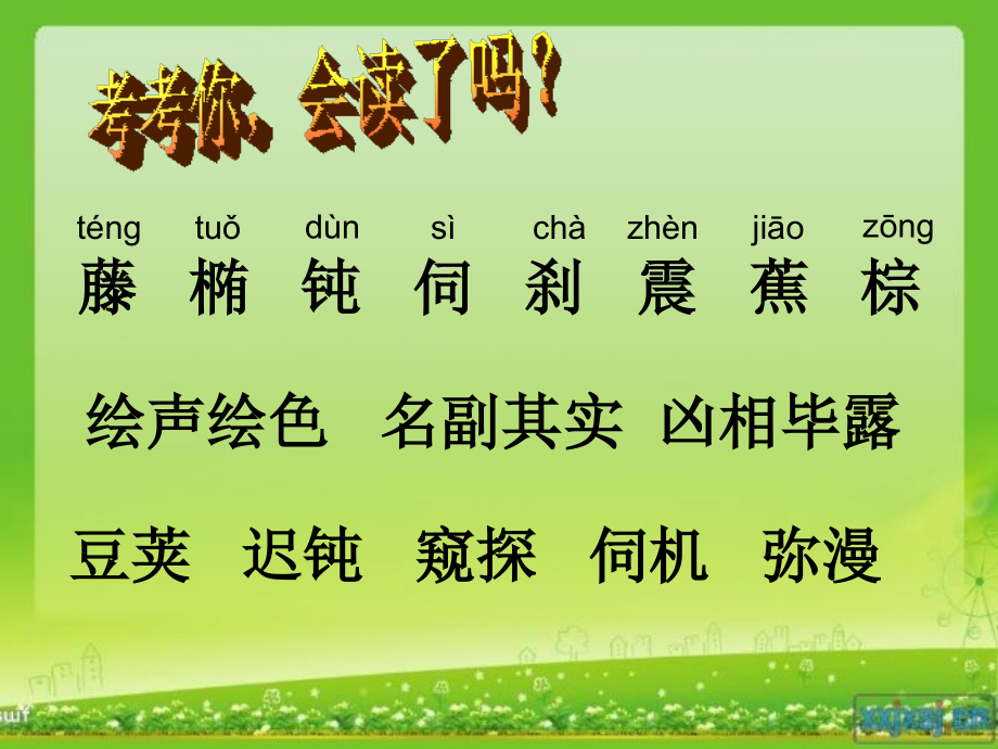 6苏教版五年级上册变色龙修改.pptx_第2页