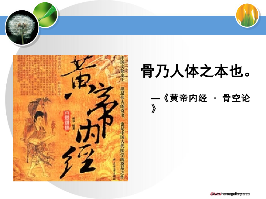 1修改同仁骨康殷仁联.pptx_第2页