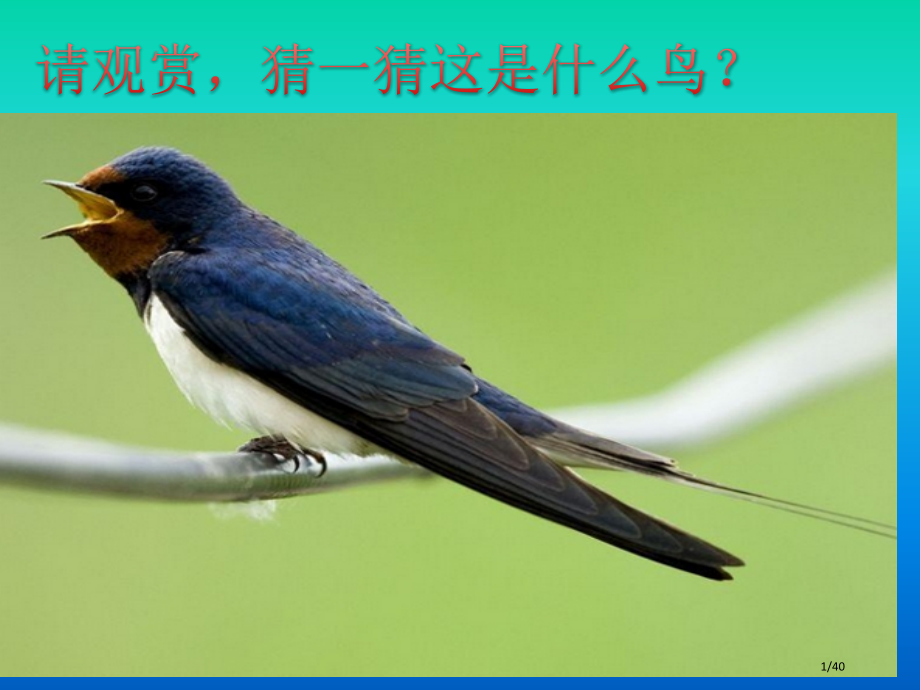 6.人教版三年级下册燕子专列PPT市名师优质课赛课一等奖市公开课获奖课件.pptx_第1页