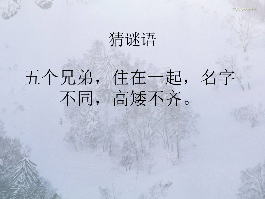 17山谷中的谜底ppt.pptx_第1页