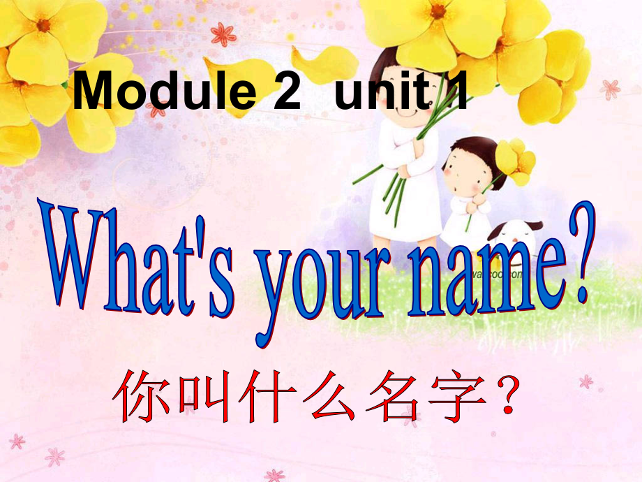 M2U1Whatsyourname.pptx_第1页