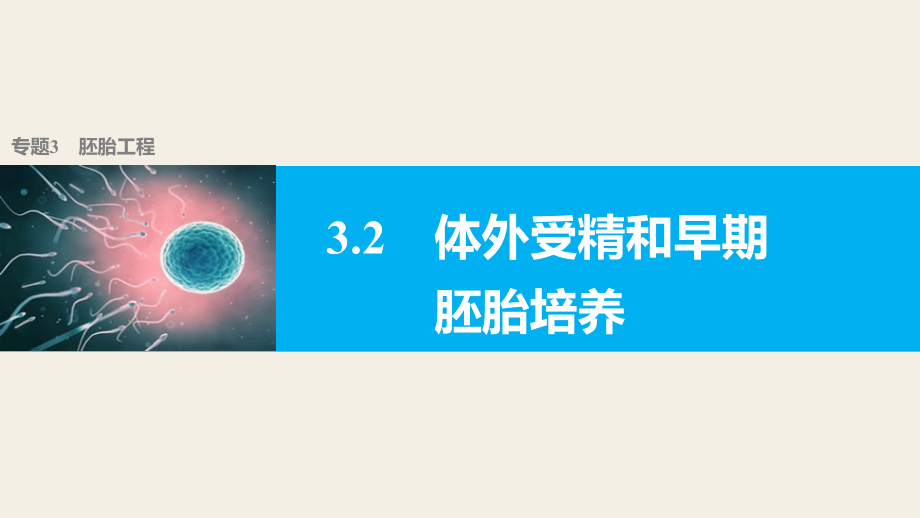 1632体外受精和早期胚胎培养步步高.pptx_第1页
