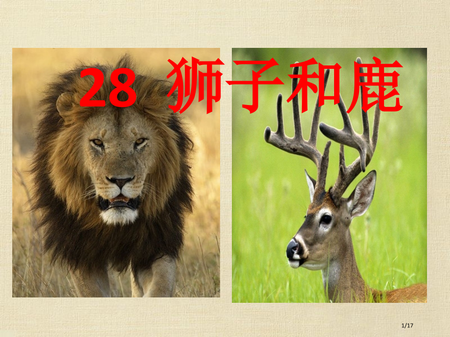 三年级上语文-狮子和鹿-人教新课标市名师优质课赛课一等奖市公开课获奖课件.pptx_第1页
