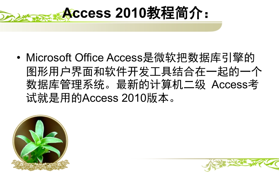 ACCESS2010基础教程.pptx_第2页