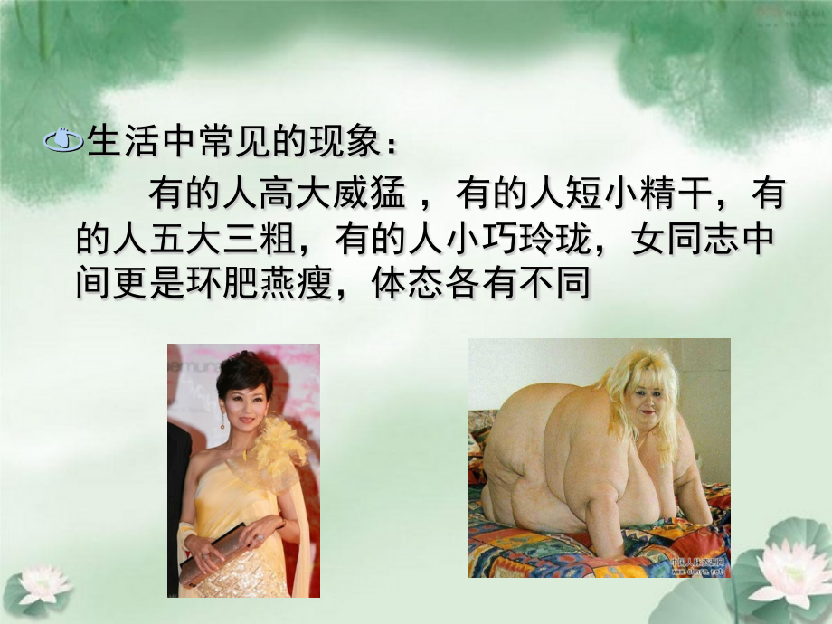 中医体质与养生12.pptx_第2页