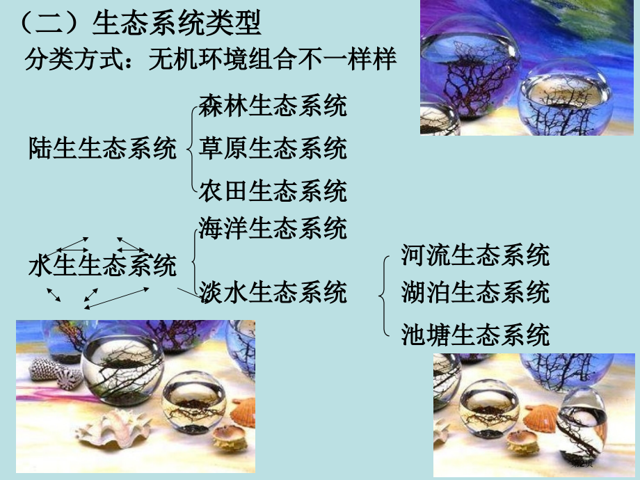 高一生物生态系统的概念和类型公开课获奖课件.pptx_第2页