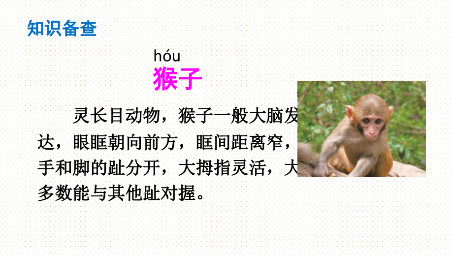 2017部编版一年级下册18小猴子下山.pptx_第2页