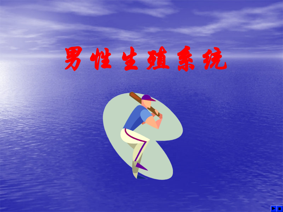 012生殖系统人体解剖学教学.pptx_第1页