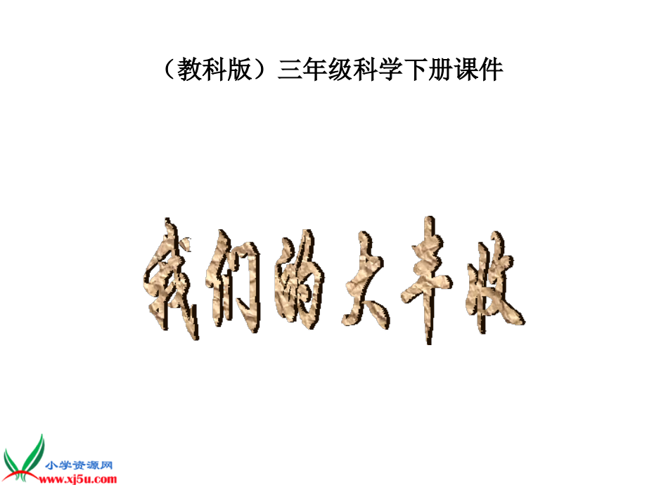 17我们的大丰收.pptx_第1页