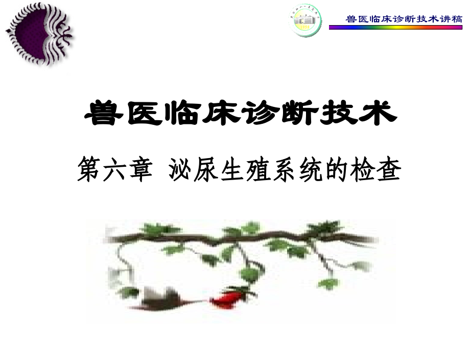 6泌尿生殖系统的检查教程.pptx_第1页