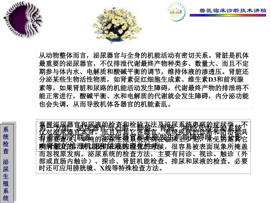 6泌尿生殖系统的检查教程.pptx_第2页