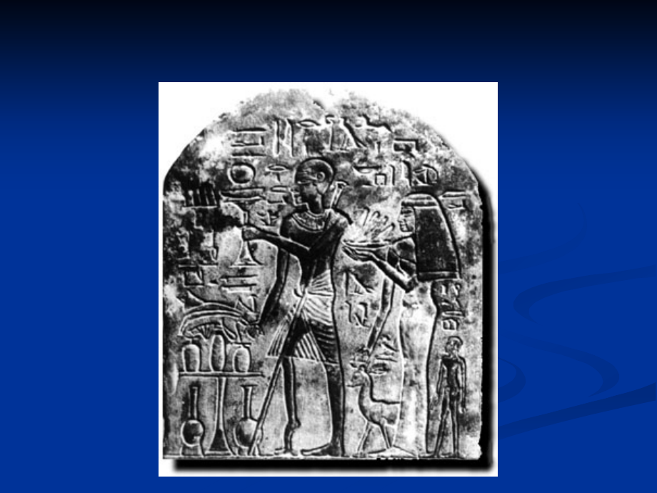 1-病毒学总论13.pptx_第2页