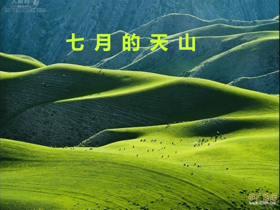 七月的天山.ppt_第1页