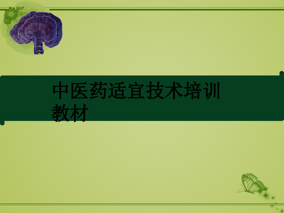 中医药适宜技术培训第二册课件.ppt_第1页