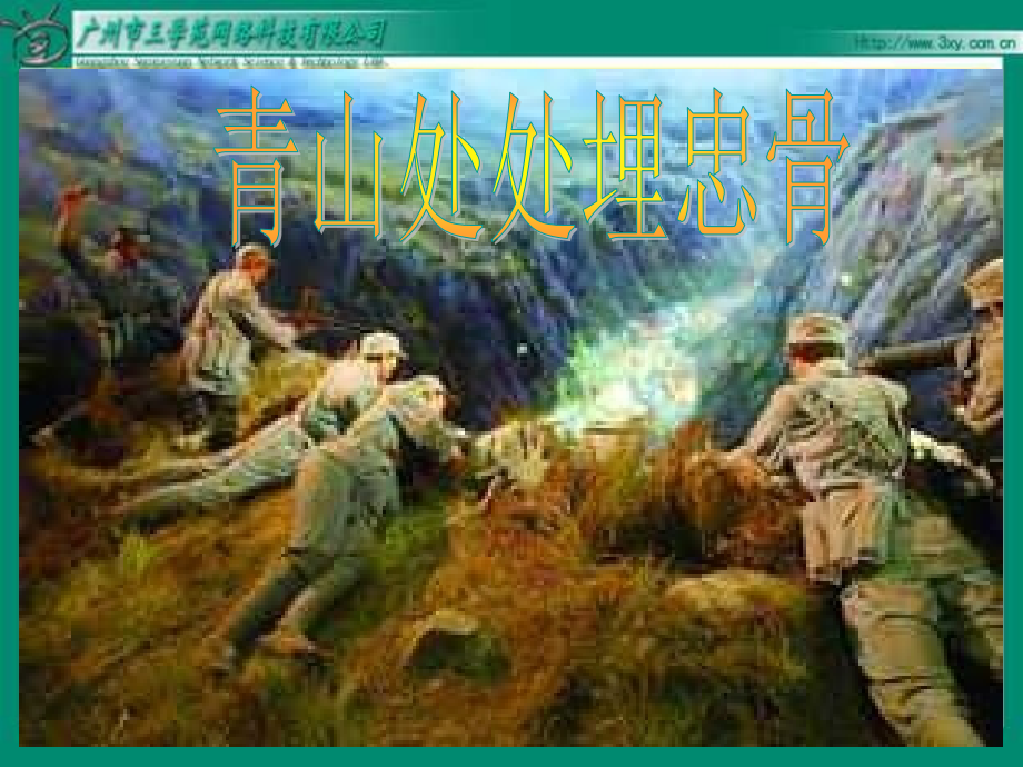 人教版新标五级下册青山处处埋忠骨.ppt_第2页