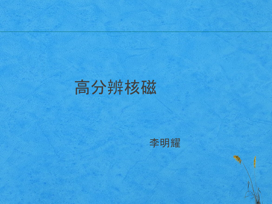 颅内动脉斑块高分辨成像.ppt_第1页