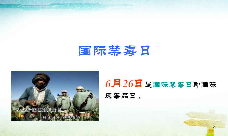 禁毒主题班会.ppt_第2页