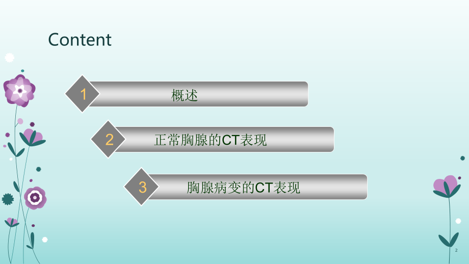 正常胸腺及胸腺病变的CT表现-.ppt_第2页