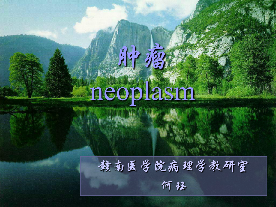 肿瘤总论(何).ppt_第1页