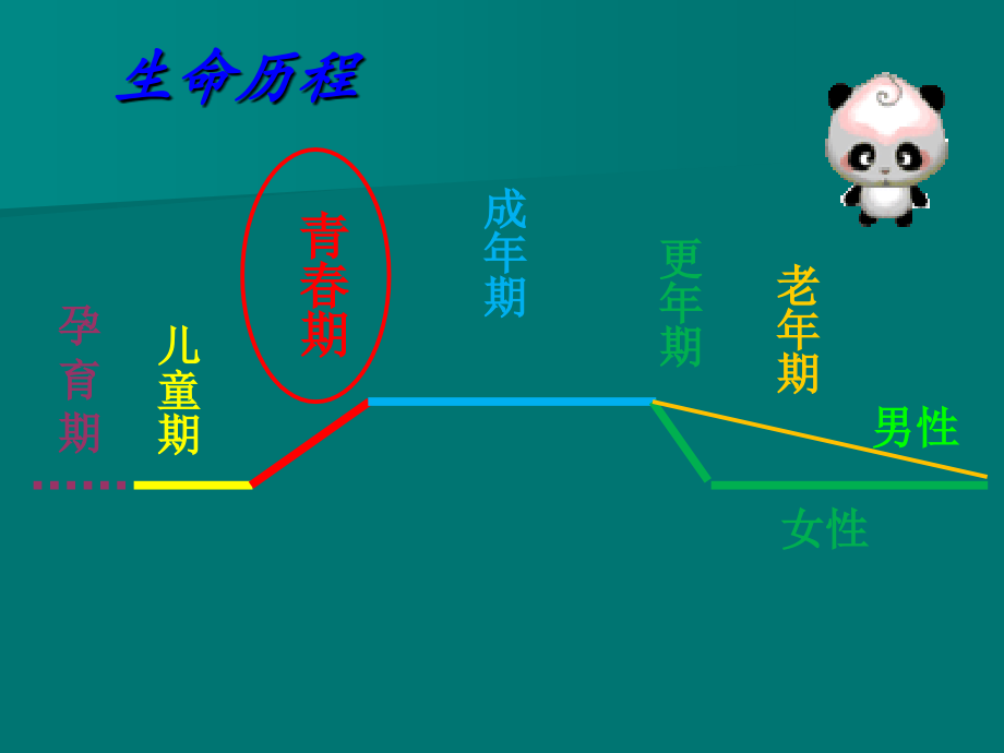 男生青春期生理卫生知识.ppt_第2页